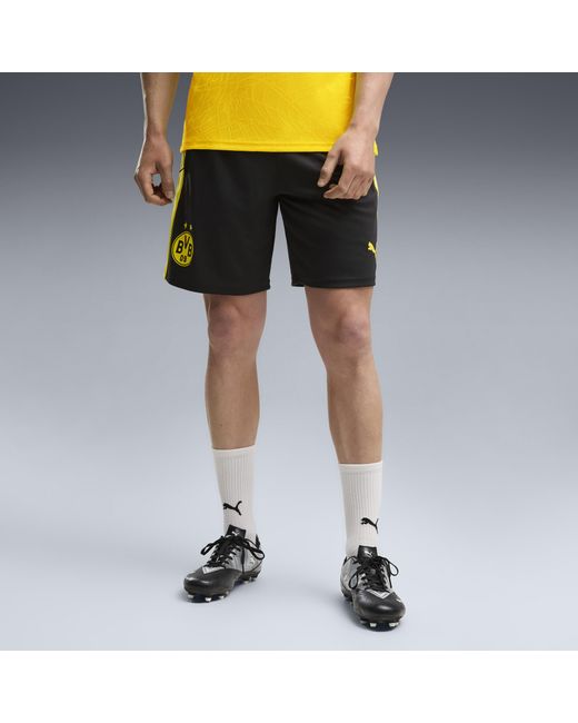 PUMA Multicolor Borussia Dortmund Slim Training Shorts for men