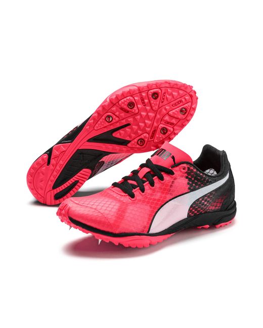 puma distance spikes