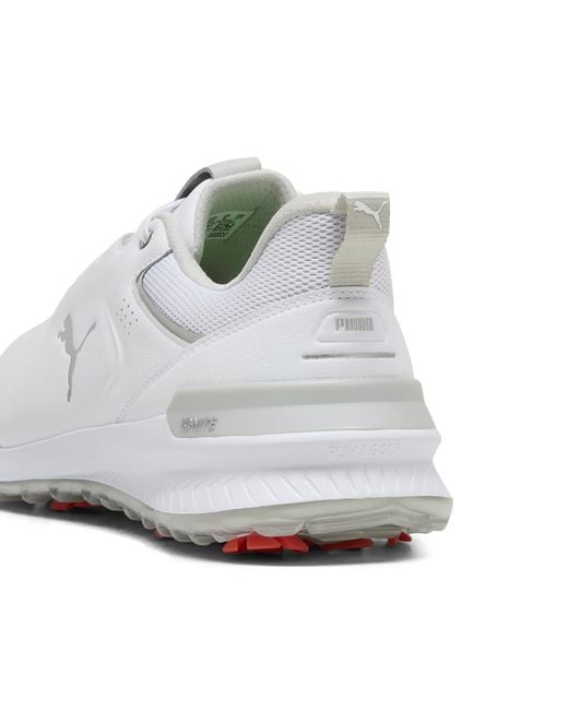 Chaussures De Golf En Cuir Ignite Innovate PUMA pour homme en coloris White