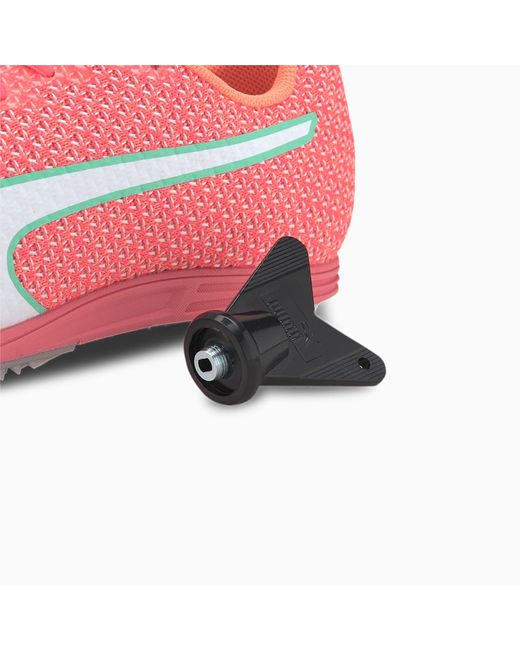 puma evospeed distance 8