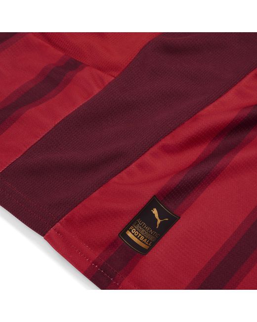 Fc Heidenheim 25/26 Home Jersey Sport, Rojo/Regal Rojo PUMA de color Red