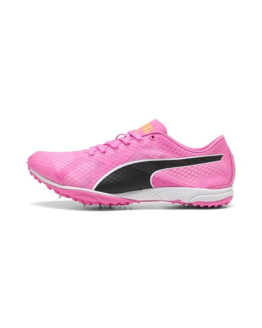 Pointes D'athlétisme Evospeed Haraka 8 E PUMA en coloris Pink