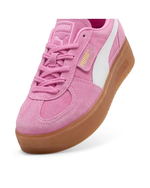 PUMA Purple Sneaker 'Palermo Elevata