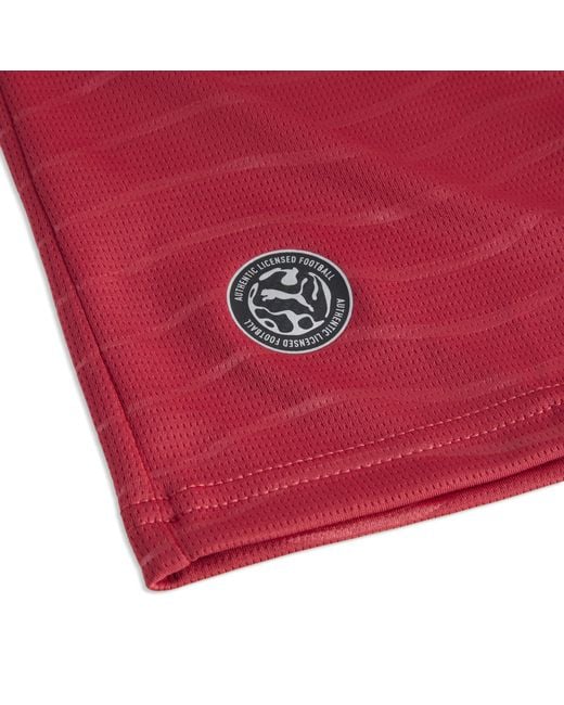 PUMA Red Cristiano Ronaldo Portugal National Team 2026 Home Replica Long Sleeve Jersey for men