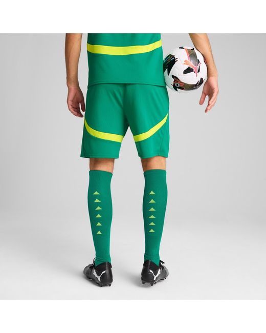 PUMA Senegal 2025 Short in het Green voor heren