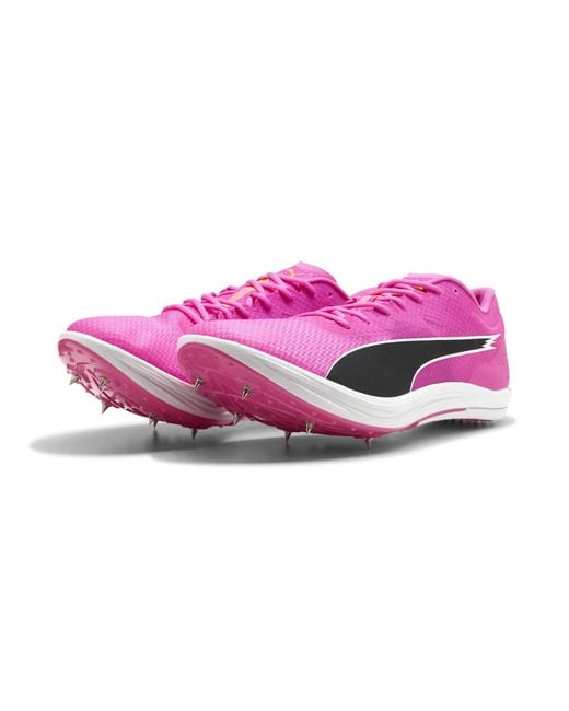 PUMA Purple Evospeed Long Distance Track Spikes for men
