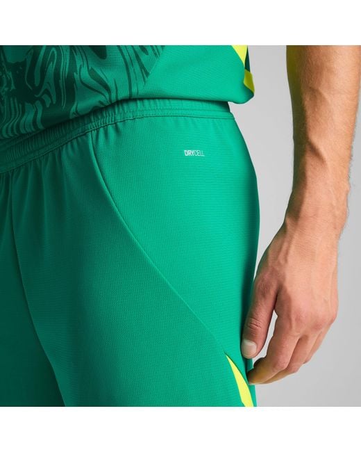 PUMA Senegal 2025 Short in het Green voor heren