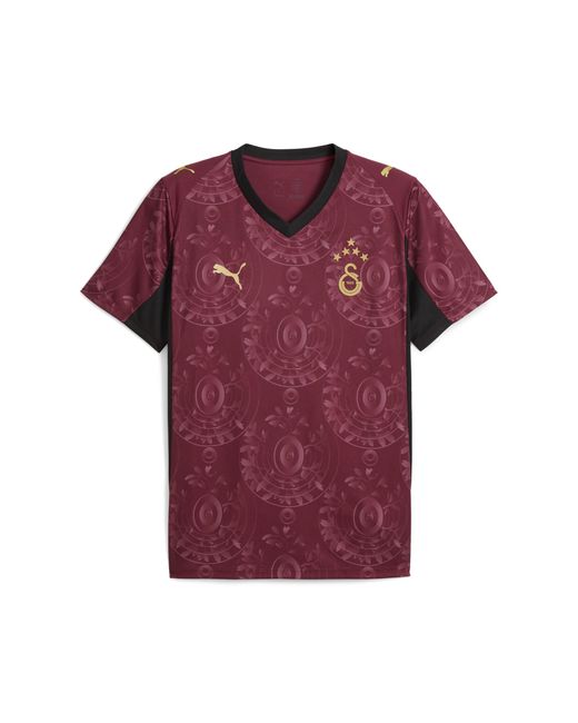 PUMA Purple Galatasaray Sk 25/26 Third Jersey for men