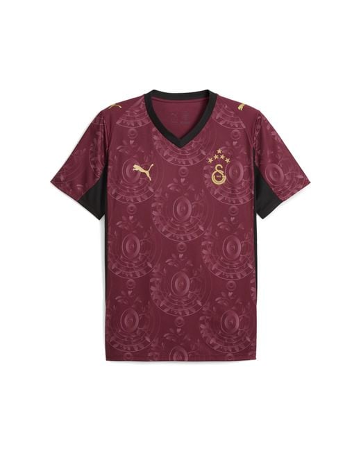 PUMA Galatasaray Sk 25/26 Ausweichtrikot Herren, Sport, Regal in Purple für Herren