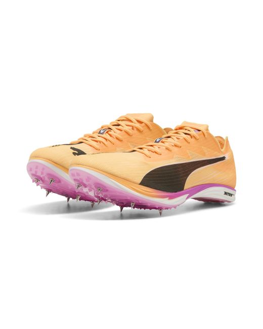 PUMA Orange Mid Distance Nitro Elite 3 Spikes Schuhe, Sun Stream/Pure/Schwarz