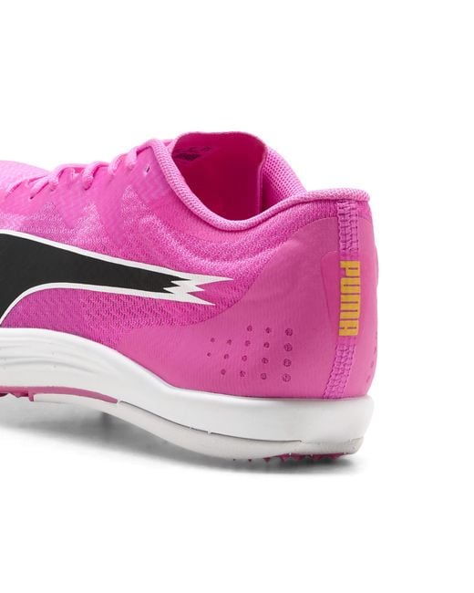 PUMA Purple Evospeed Long Distance Track Spikes for men