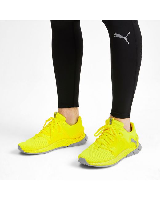 puma hybrid sky lights