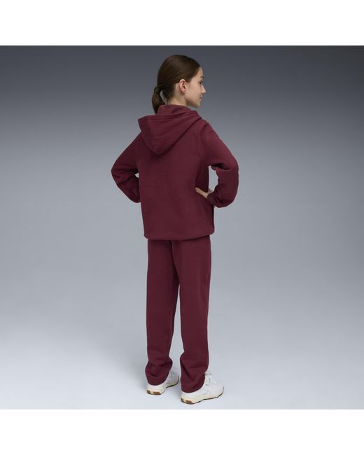 Chándal Con Capucha Metalizado Juvenil, Ropa, Rojo PUMA de color Red