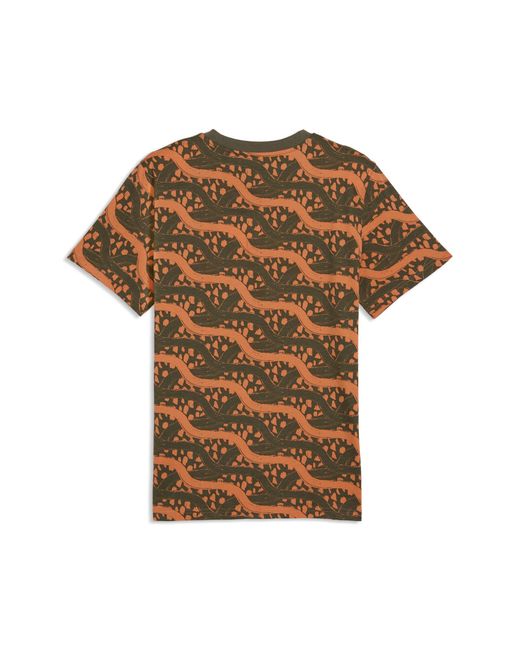 PUMA Brown Ivory Coast Ftblculture Printed T-Shirt for men