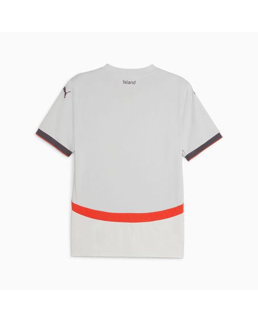 Camiseta de Fútbol de Islandia 2024 (Visitante) PUMA de hombre de color Gray