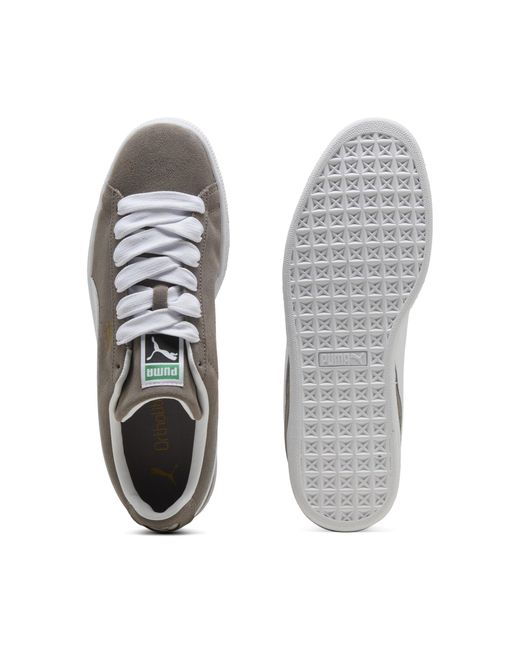 PUMA Gray Suède Classic