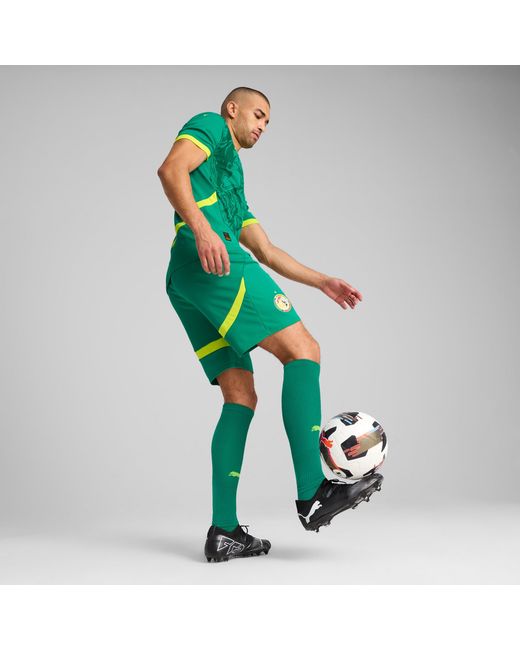 PUMA Senegal 2025 Short in het Green voor heren