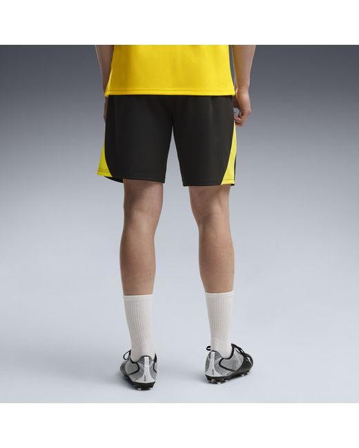 PUMA Multicolor Borussia Dortmund Slim Training Shorts for men