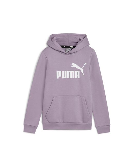 PUMA Purple Essentials Logo Hoodie Youth