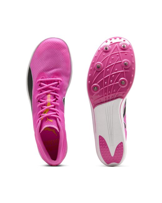 PUMA Purple Evospeed Long Distance Track Spikes for men