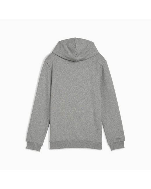PUMA Essentials Logo Hoodie in het Gray