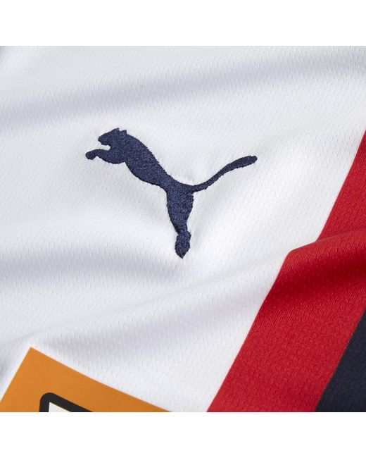 PUMA Sk Rapid Wien Uitshirt 24/25 Voor Wit/Blauw/Rood in het Red voor heren