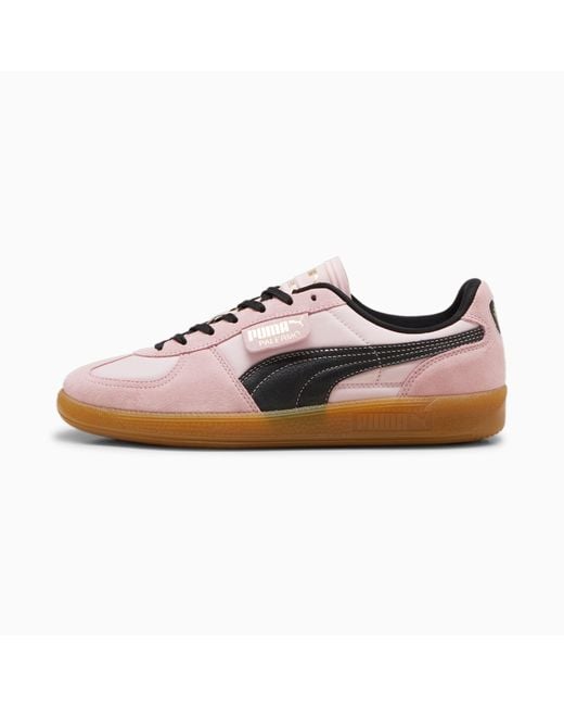 PUMA Pink X PALERMO F.C. Palermo Sneakers Schuhe