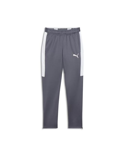 PUMA Speed Pants in Blue for Men Lyst