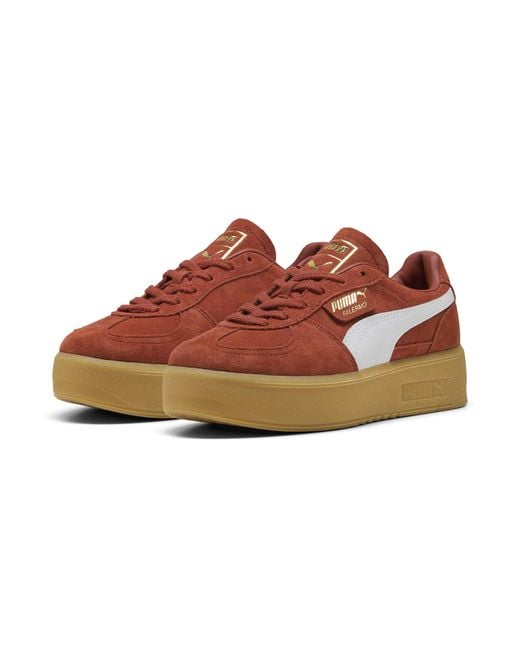 PUMA Brown Palermo Elevata Sneakers Damen Schuhe