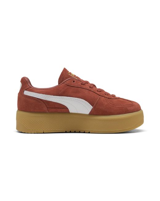 PUMA Brown Palermo Elevata Sneakers Damen Schuhe