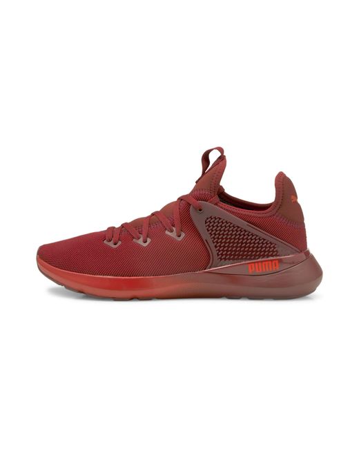 PUMA Red Pure Xt Fade Pack Training Shoes for men