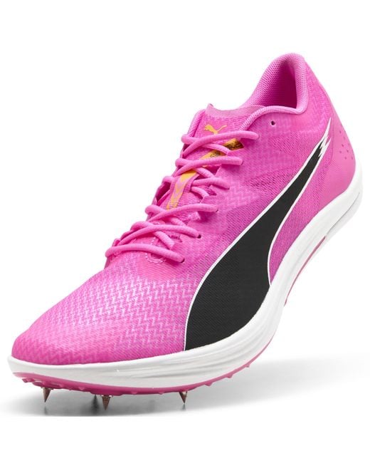 PUMA Purple Evospeed Long Distance Track Spikes for men