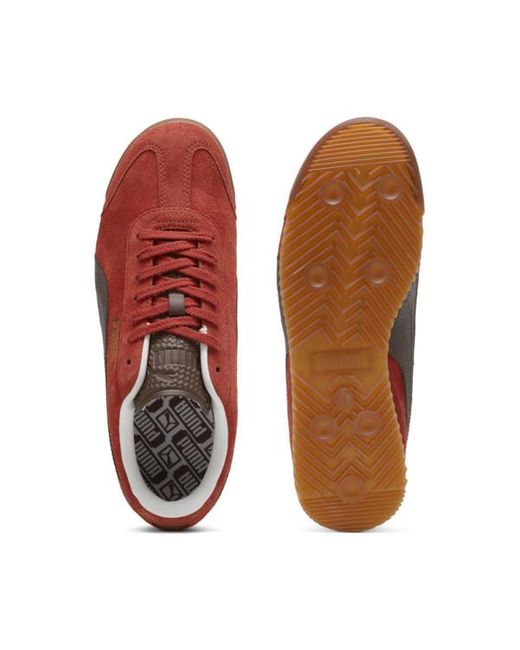 Roma retro nubuck sneakers sale