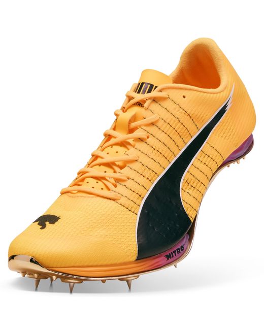 PUMA Orange Evospeed 400 Nitro Elite 2 Spikes Schuhe, Sun Stream/Pure/Schwarz
