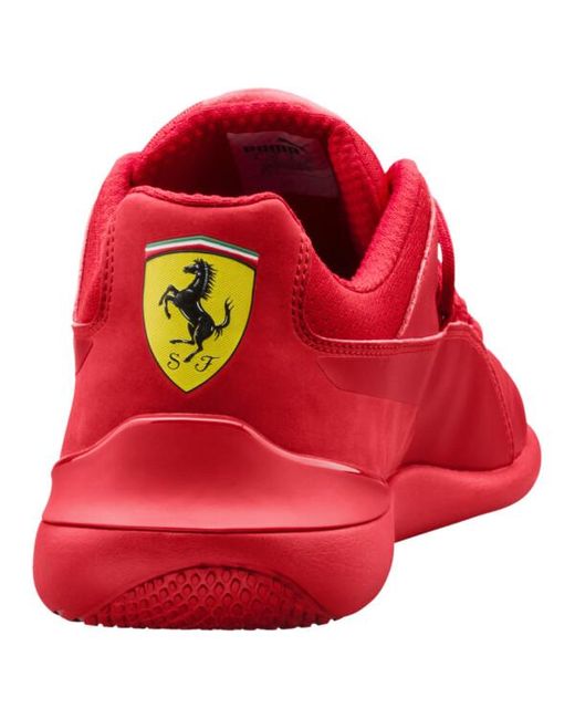Ferrari evo cat best sale