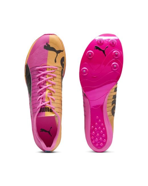 PUMA Pink Evospeed Forte Nitro Elite Sprint Spikes