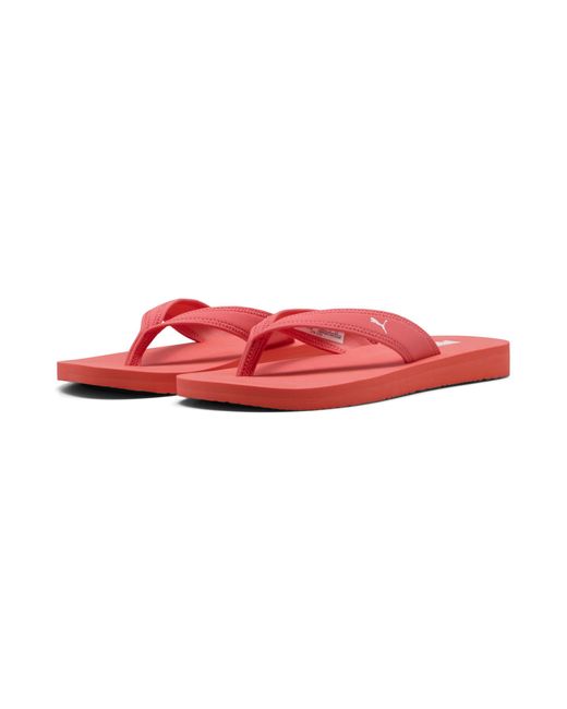 PUMA Red Sandy Flip-Flops Damen