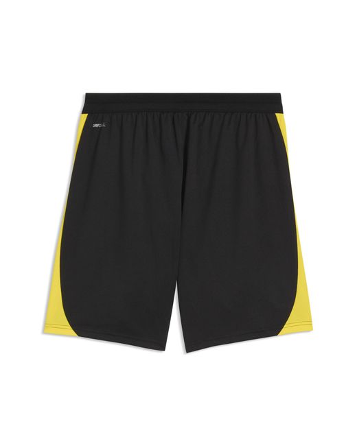 PUMA Multicolor Borussia Dortmund Slim Training Shorts for men