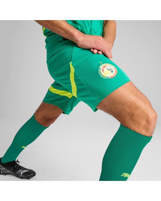 PUMA Senegal 2025 Short in het Green voor heren