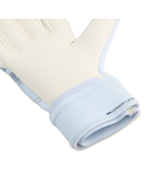 PUMA Blue Future Match Nc Goalkeeper Gloves