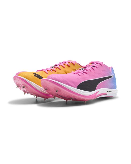 PUMA Purple Long Distance Nitro Elite 3 Spikes for men