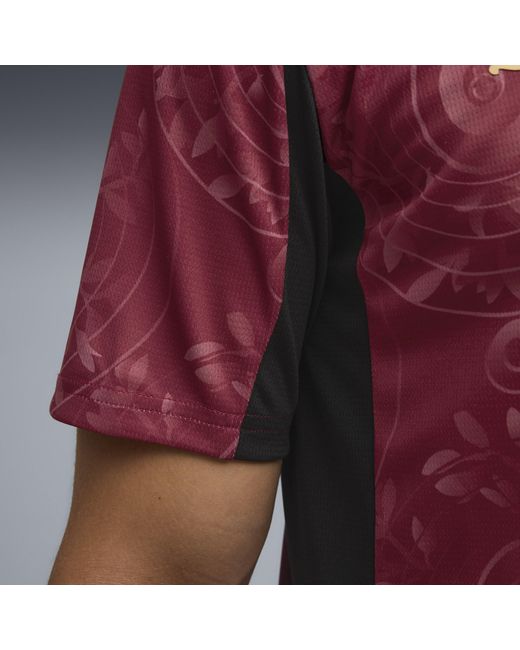 PUMA Purple Galatasaray Sk 25/26 Third Jersey for men