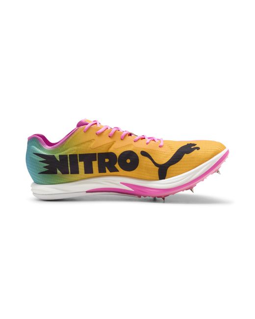 PUMA Purple Long Distance Nitro Elite 3 Spikes for men