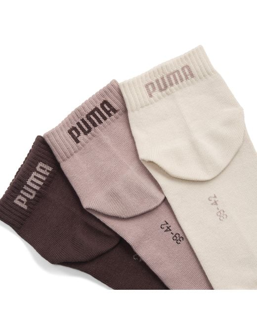 PUMA Brown Quarter Socks 3 Pack