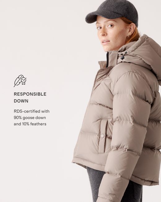 Quince Brown Responsible Down Cropped Puffer Jacket, Recycled Polyester