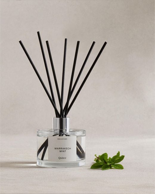 Quince Multicolor Marrakech Mint Reed Diffuser, Reed Diffuser Oil