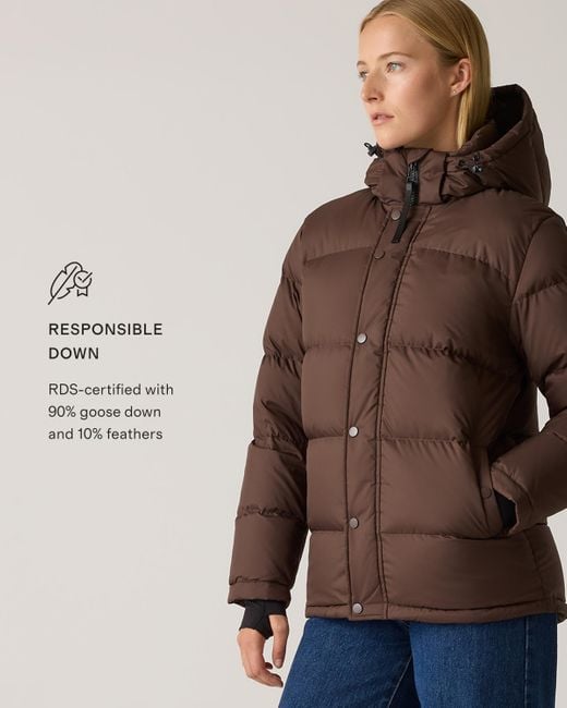 Quince Brown Responsible Down Puffer Jacket, Recycled Polyester