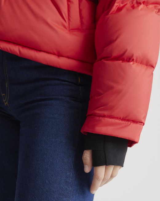 Quince Red Responsible Down Cropped Puffer Jacket, Recycled Polyester