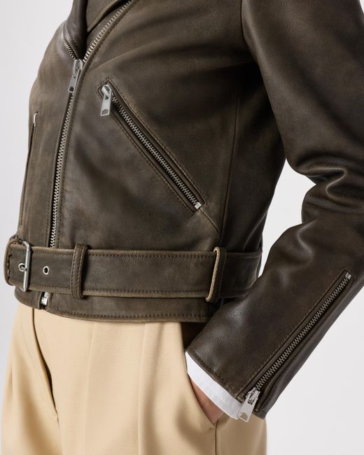 Quince Brown Motorcycle Jacket, Leather