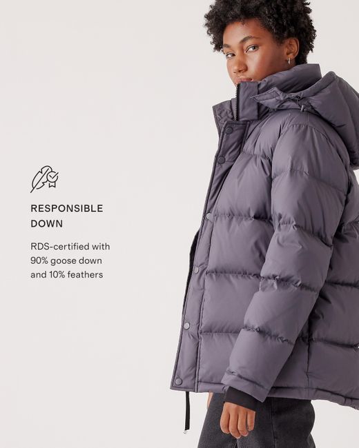 Quince Multicolor Responsible Down Puffer Jacket, Recycled Polyester